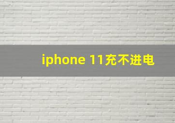 iphone 11充不进电